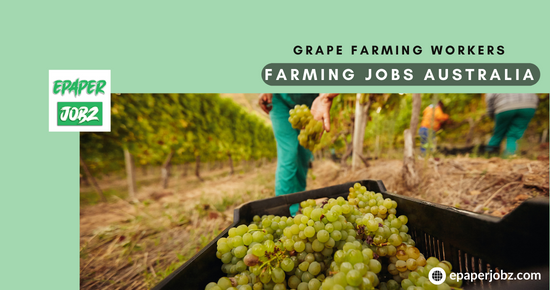 Grape Farming Workers Required for Australia