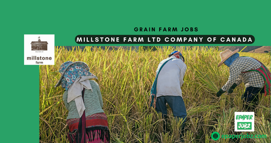 Grain Farm Jobs In the Millstone Farm Ltd Company of Canada