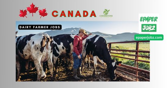 Canadian company (Cornerstone Farm Ltd) has announced the latest Dairy Farmer Jobs in 2024, Without Education for All Nations in Canada.