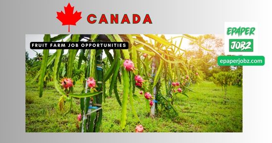 A leading agricultural company has invited 4 applications for the post of Fruit Farm in Langley, BC Canada. Career opportunities for farming job seekers 2024.
