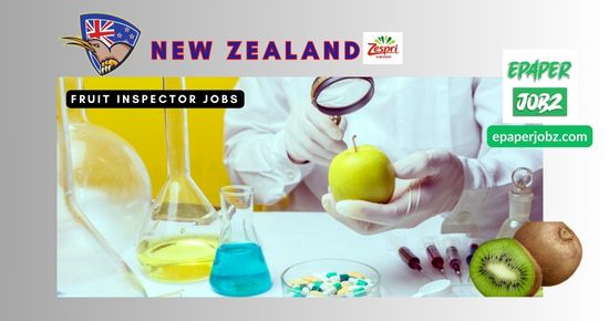 The Zespri (Zespri Group Limited).” invites applications for the post of Fruit Inspector in NZ for males and females. Kiwifruit career NZ.