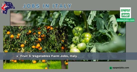 Fruit & Vegetable Worker. Employer: Hard Earned Opportunities, Inc, Location: Milan, Italy. Salary in €: €800 - €900/month.